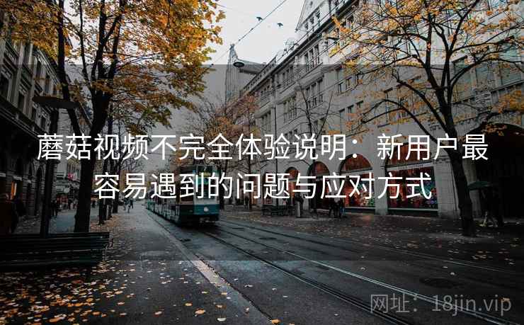 蘑菇视频不完全体验说明：新用户最容易遇到的问题与应对方式
