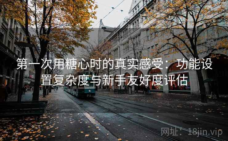 第一次用糖心时的真实感受：功能设置复杂度与新手友好度评估