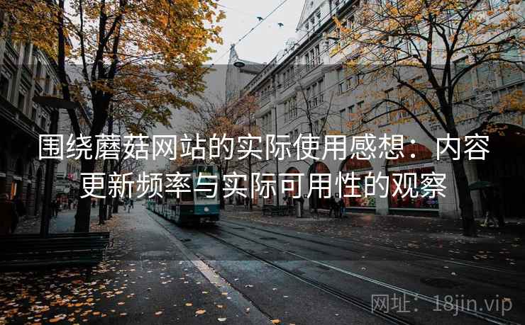 围绕蘑菇网站的实际使用感想：内容更新频率与实际可用性的观察