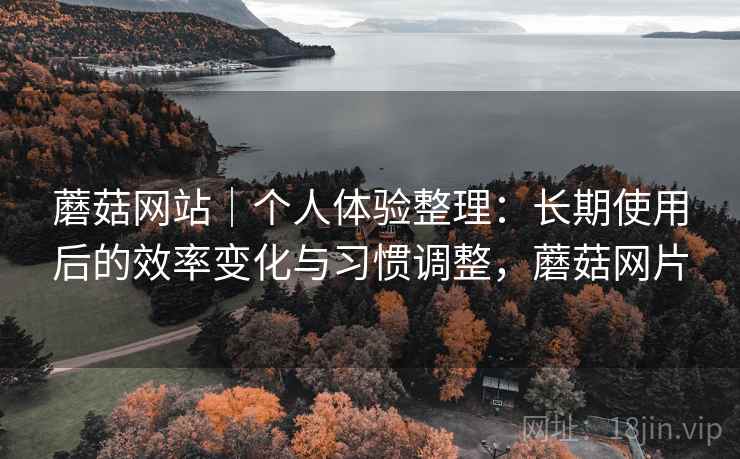 蘑菇网站｜个人体验整理：长期使用后的效率变化与习惯调整，蘑菇网片