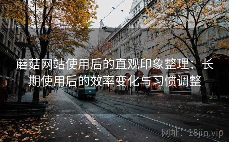 蘑菇网站使用后的直观印象整理：长期使用后的效率变化与习惯调整