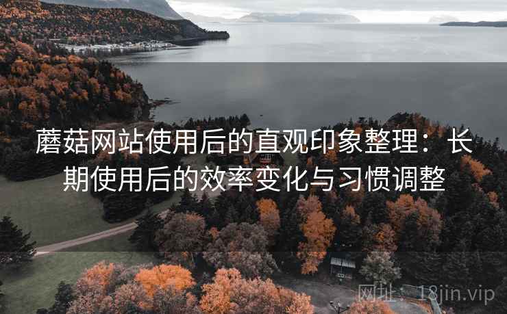 蘑菇网站使用后的直观印象整理：长期使用后的效率变化与习惯调整