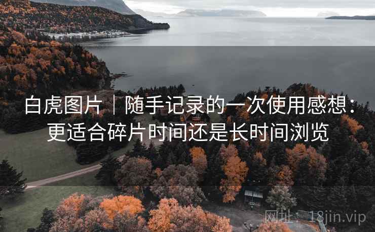 白虎图片|随手记录的一次使用感想:更适合碎片时间还是长时间浏览 白虎图片|随手记录的一次使用感想:更适合碎片时间还是长时间浏览