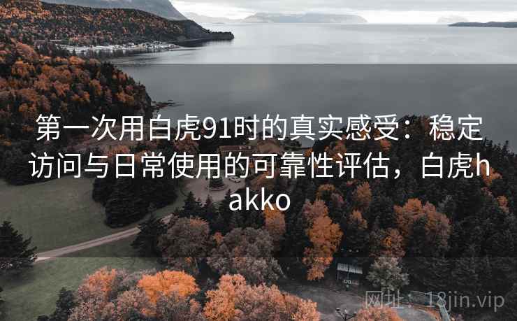 第一次用白虎91时的真实感受：稳定访问与日常使用的可靠性评估，白虎hakko