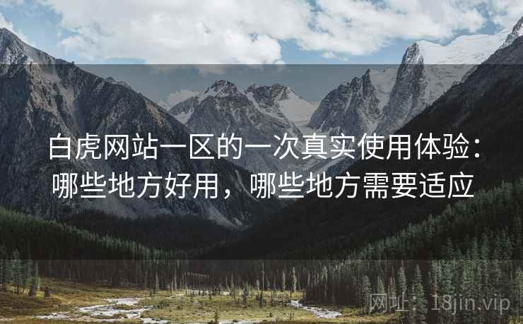 白虎网站一区的一次真实使用体验：哪些地方好用，哪些地方需要适应