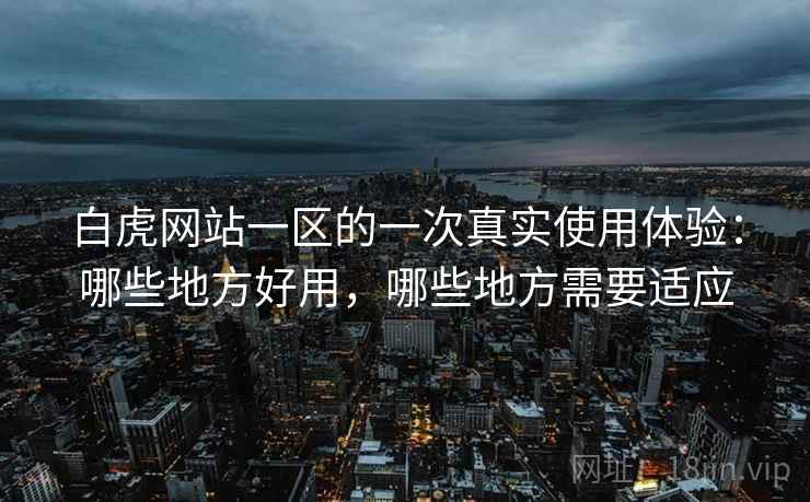 白虎网站一区的一次真实使用体验：哪些地方好用，哪些地方需要适应