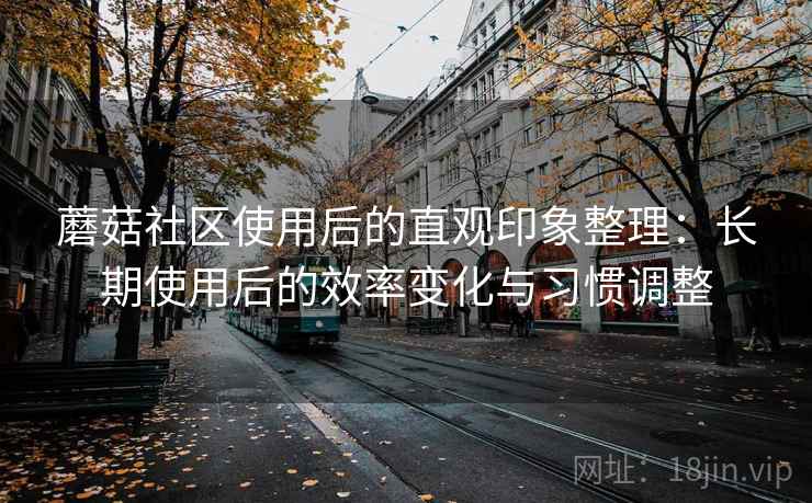 蘑菇社区使用后的直观印象整理：长期使用后的效率变化与习惯调整