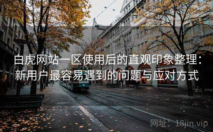 白虎网站一区使用后的直观印象整理：新用户最容易遇到的问题与应对方式