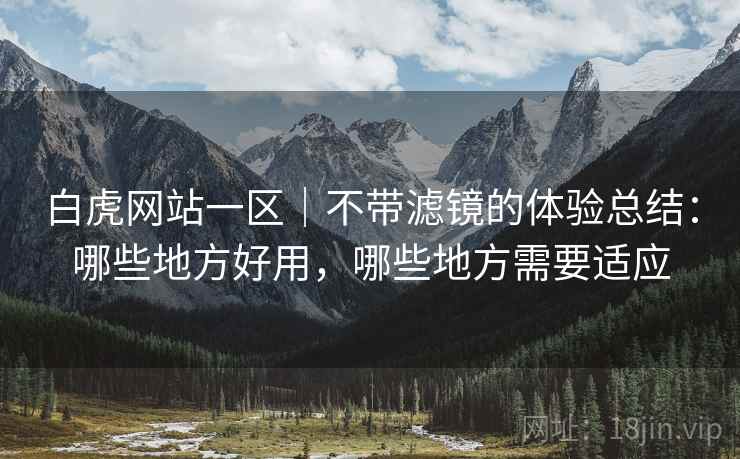 白虎网站一区｜不带滤镜的体验总结：哪些地方好用，哪些地方需要适应
