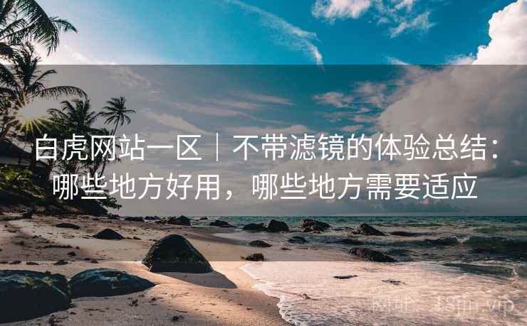 白虎网站一区｜不带滤镜的体验总结：哪些地方好用，哪些地方需要适应