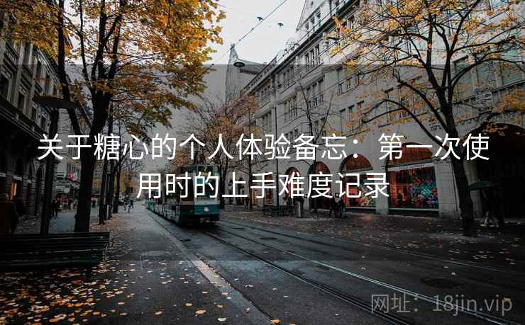 关于糖心的个人体验备忘：第一次使用时的上手难度记录
