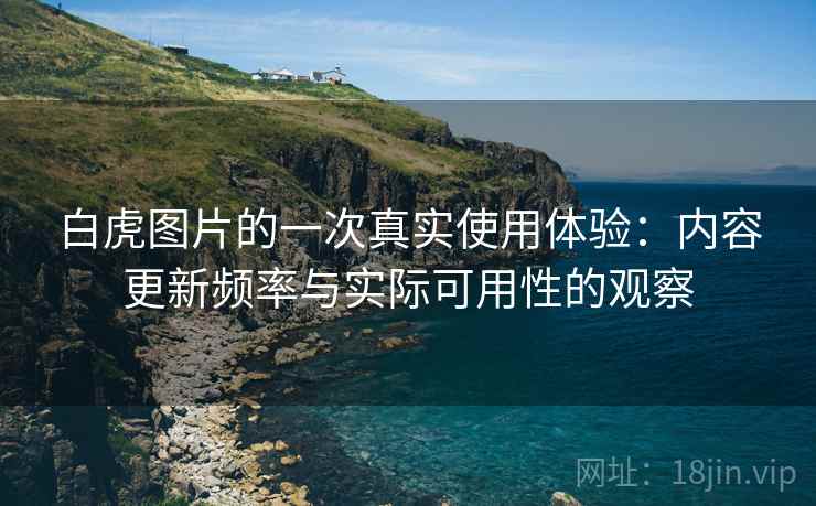 白虎图片的一次真实使用体验：内容更新频率与实际可用性的观察