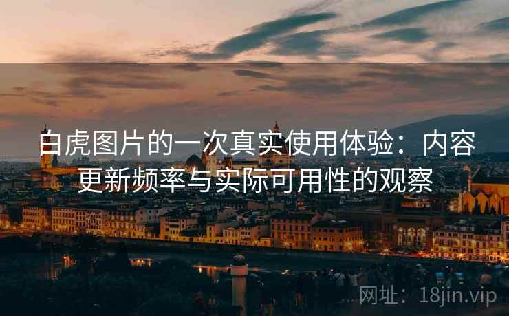 白虎图片的一次真实使用体验：内容更新频率与实际可用性的观察