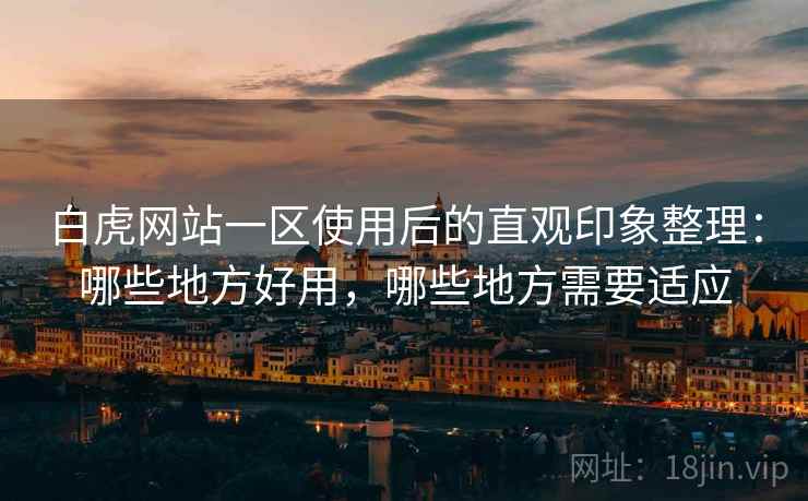 白虎网站一区使用后的直观印象整理：哪些地方好用，哪些地方需要适应