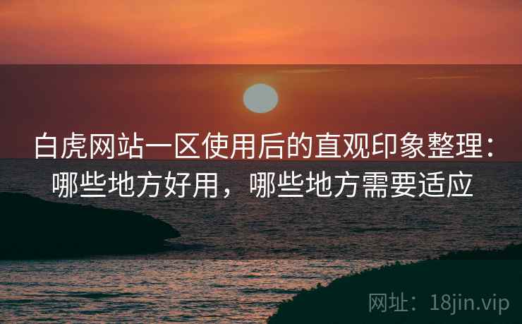 白虎网站一区使用后的直观印象整理：哪些地方好用，哪些地方需要适应