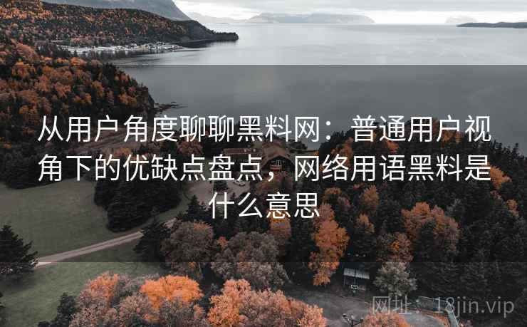 从用户角度聊聊黑料网：普通用户视角下的优缺点盘点，网络用语黑料是什么意思