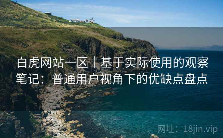 白虎网站一区｜基于实际使用的观察笔记：普通用户视角下的优缺点盘点