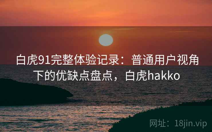 白虎91完整体验记录：普通用户视角下的优缺点盘点，白虎hakko